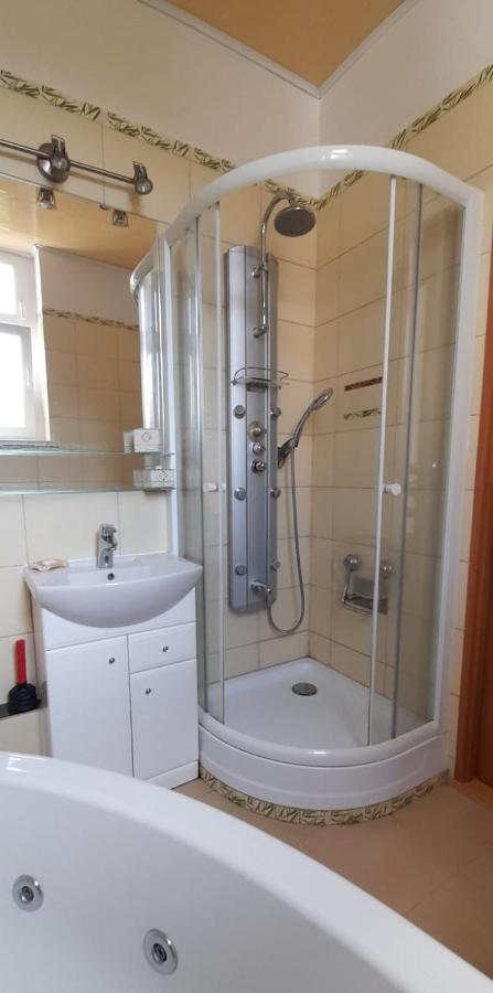 Apartament Kasztanowy Apartment Gliwice Luaran gambar